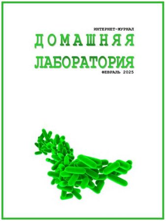 Домашняя лаборатория №2 (февраль 2025)